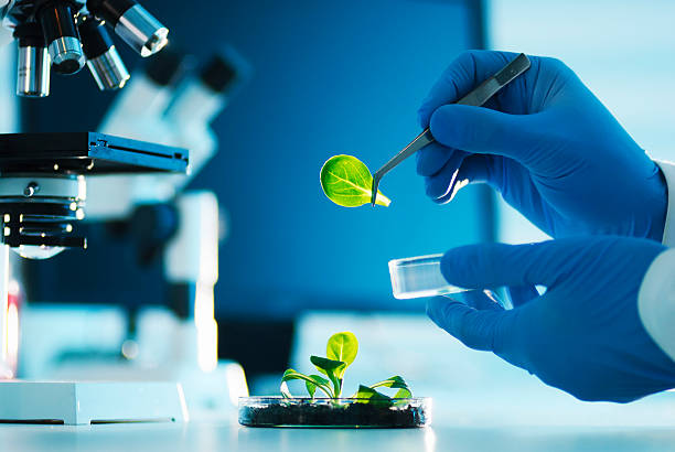 about obcon